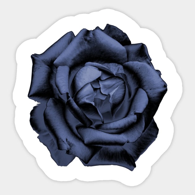 Blue Charcoal Rose Sticker by nautilusmisc